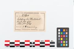 Etikett zu Bronzemelonenarmreif (NHMW-PRAE-025614)